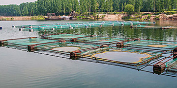 丙綸色紗，pp紗，丙綸FDY絲，丙綸紗，PP色紗